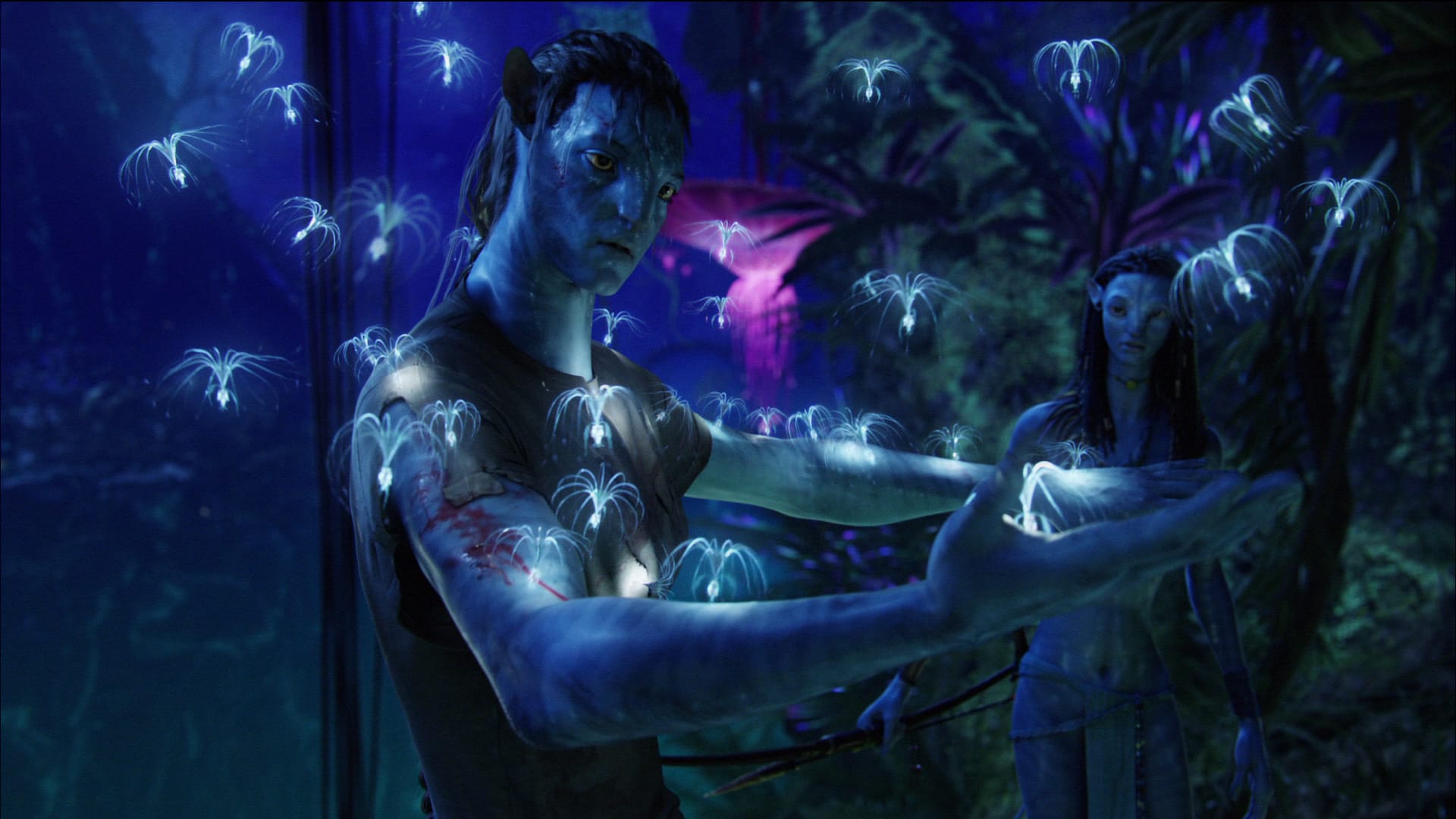 Measuring Cultural Irrelevance - Avatar (2009)