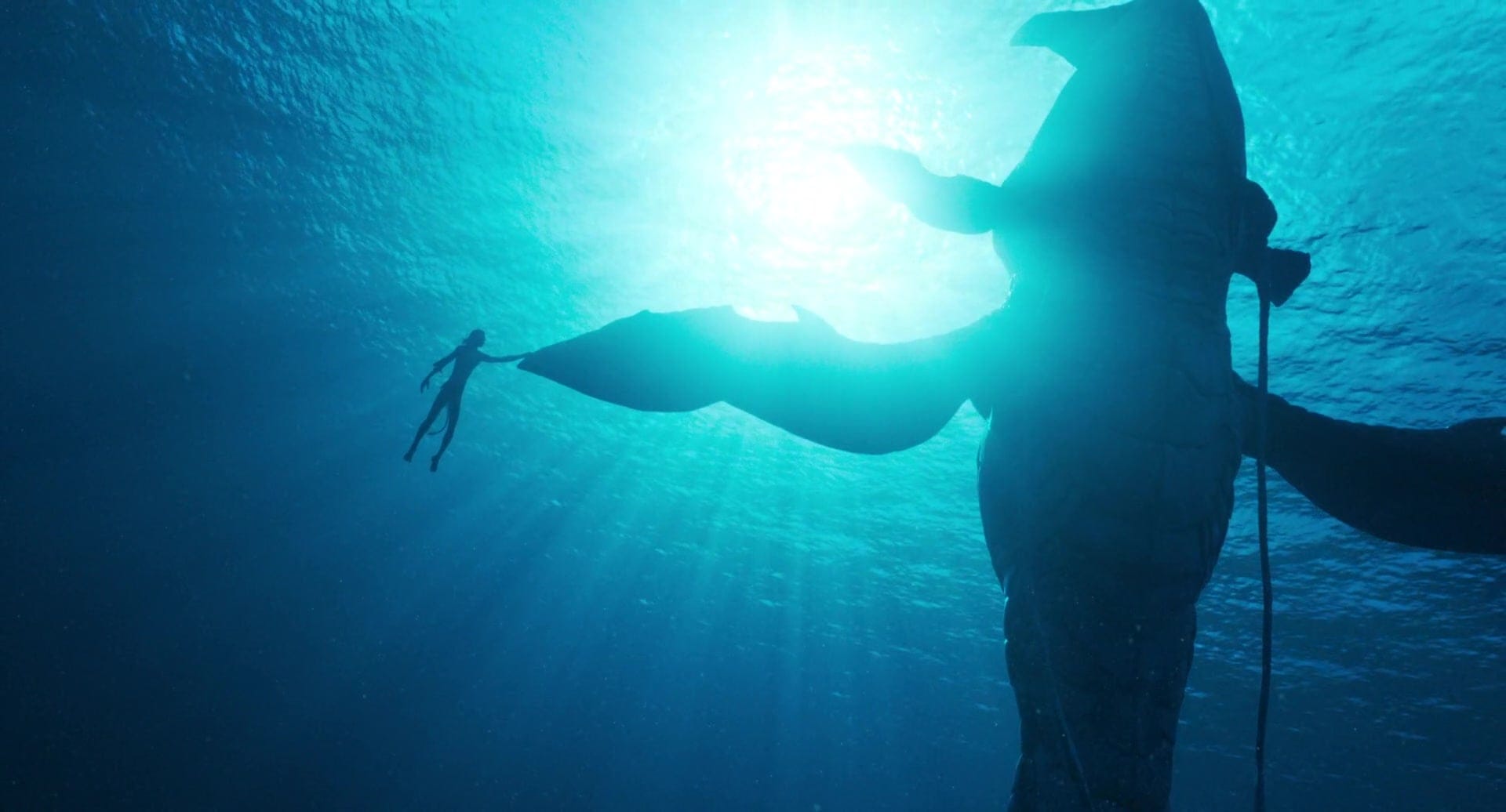 Does This Count As Lazy? - Avatar: The Way of Water